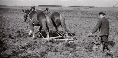 Reformy rolne w Republice Wietnamu 1953-1956: Redistrybucja ziemi i jej wpływ na stosunki społeczno-ekonomiczne